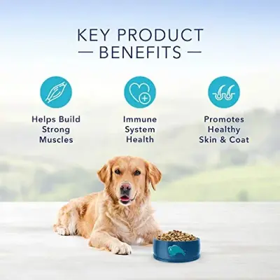 Blue Buffalo Life Protection Formula Adult Dog Food - Natural Dry Dog Food For Adult Dogs - Chicken And Brown Rice - 11.7 Kg Bag