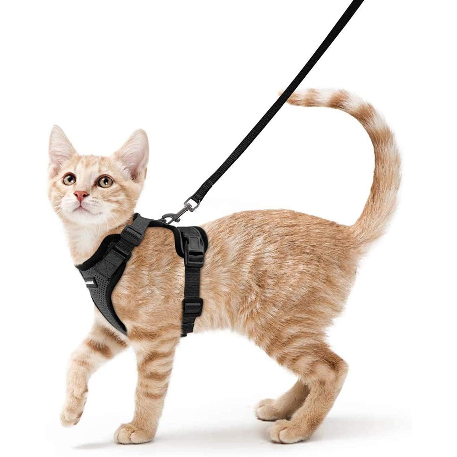 Cat Leashes & Harnesses