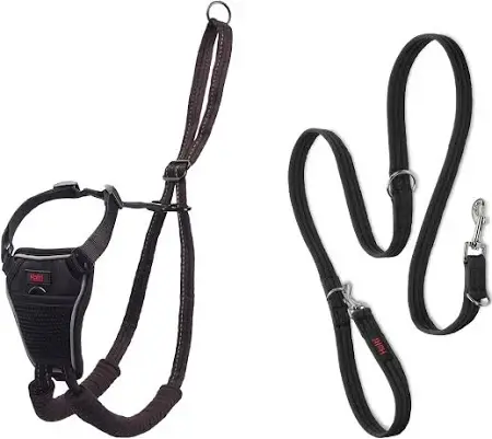 Dog Leashes & Harnesses
