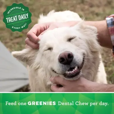 Greenies Original LARGE Oral Care Natural Dental Adult Dog Treats, 8-17 Treats